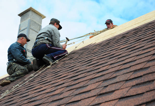 Best Roof Gutter Cleaning  in Lone Jack, MO